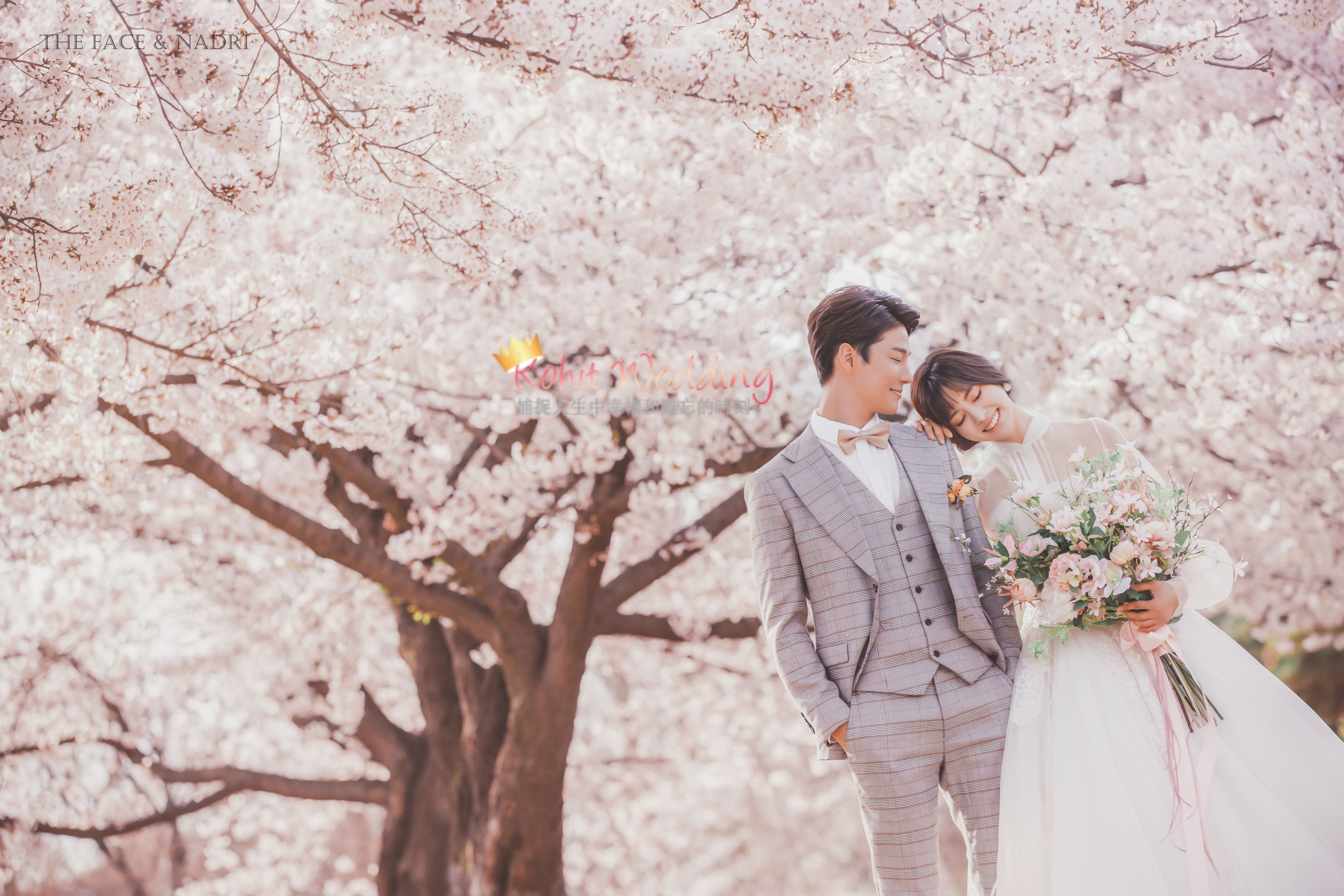 Korea Cherry Blossom Prewedding Photoshoot With Kohit Wedding 2020
