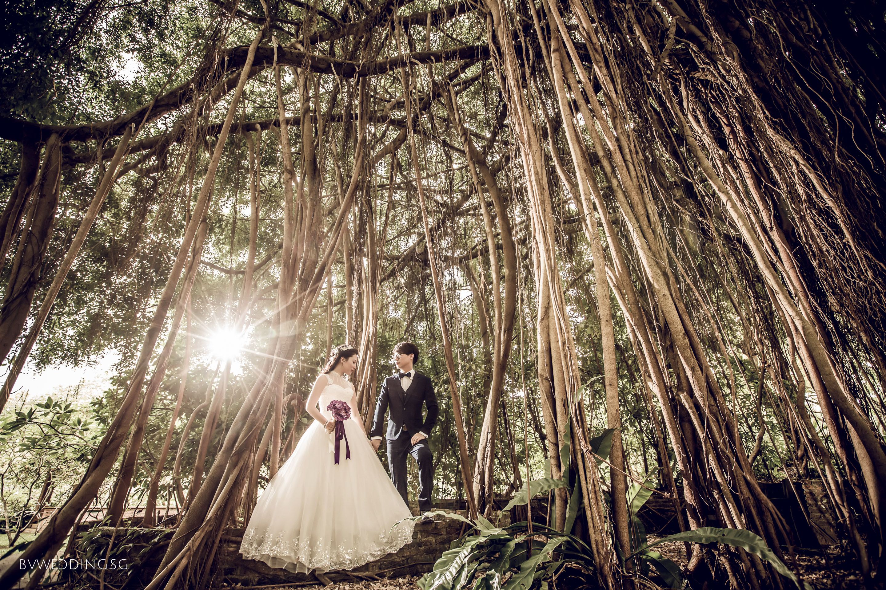 Pre Wedding Photoshoot At Botanical Garden In Singapore Pre